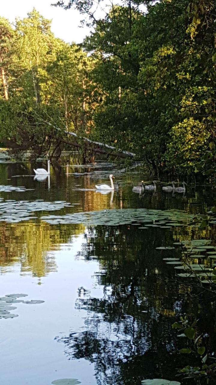 Domki Skandynawskie Kopalino Buitenkant foto